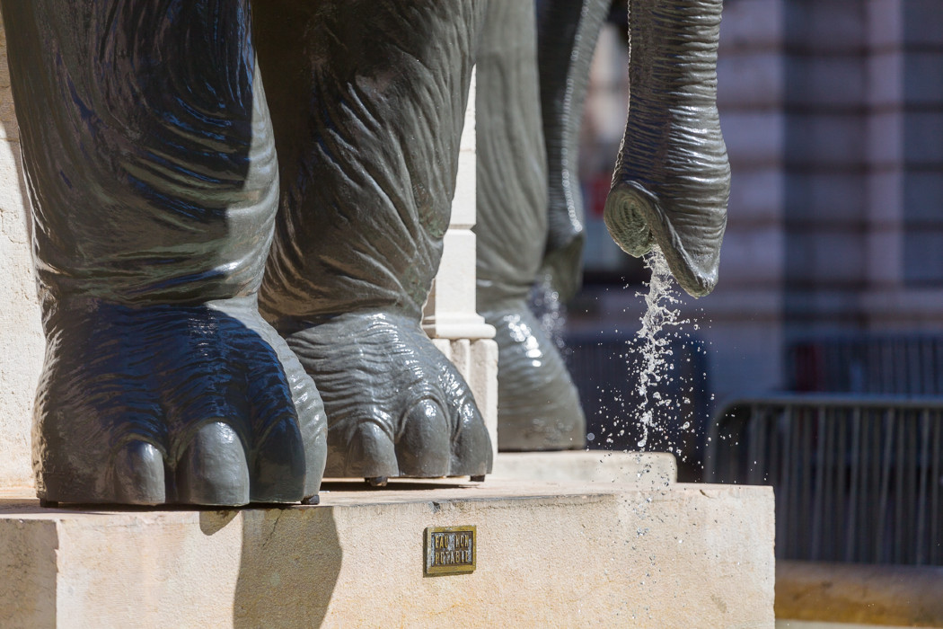 Place des Elephants 8